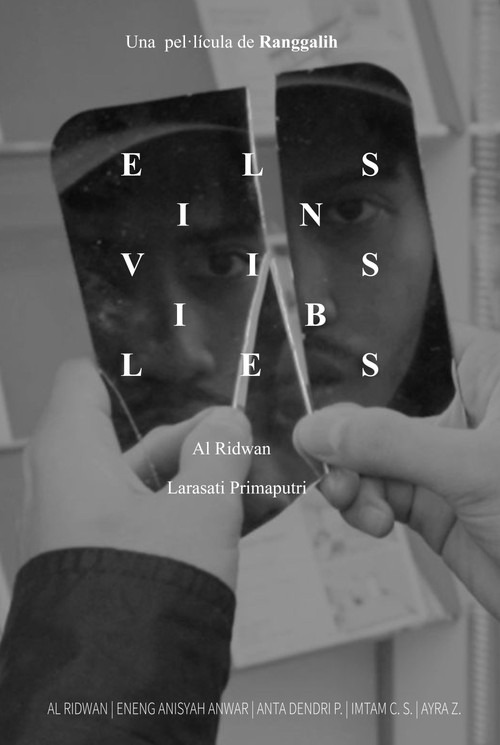 The Invisibles poster