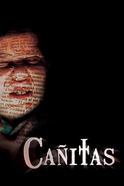 Cañitas poster