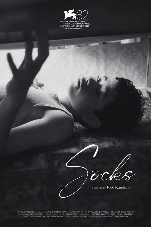 Socks poster