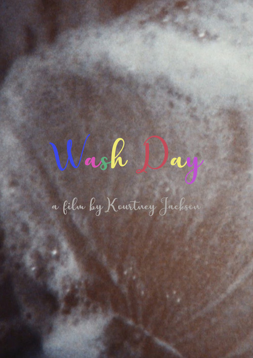 Wash Day poster