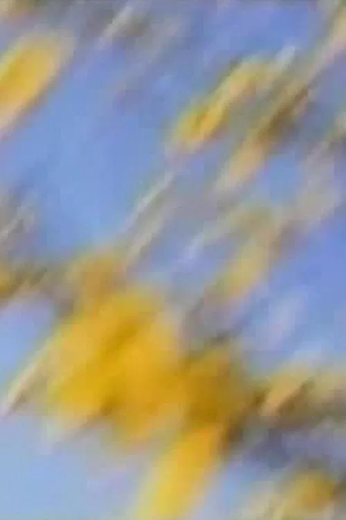 I Want to See How You See poster