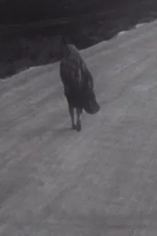 Man and Woman poster