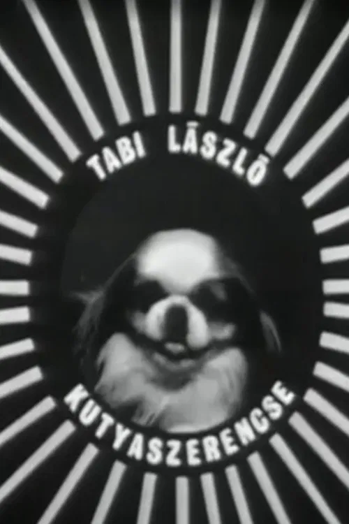 Kutyaszerencse poster