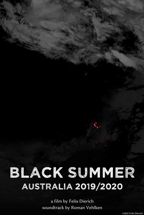 Black Summer poster