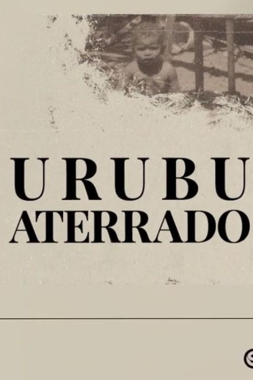 Urubu aterrado poster