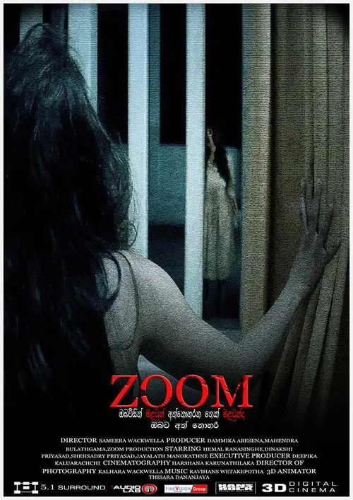 ZOOM poster