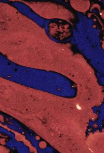 THE BLUE NAIVE AND THE RED BEAST poster