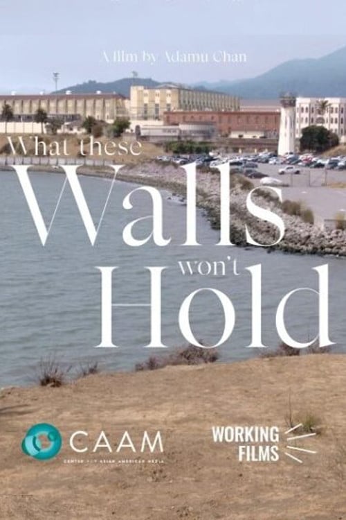 What These Walls Won't Hold poster