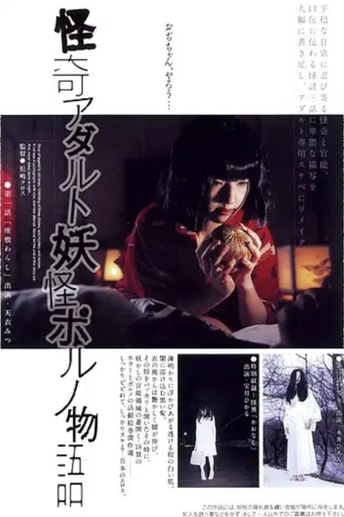 Bizarre Adult Ghost Porno Story poster