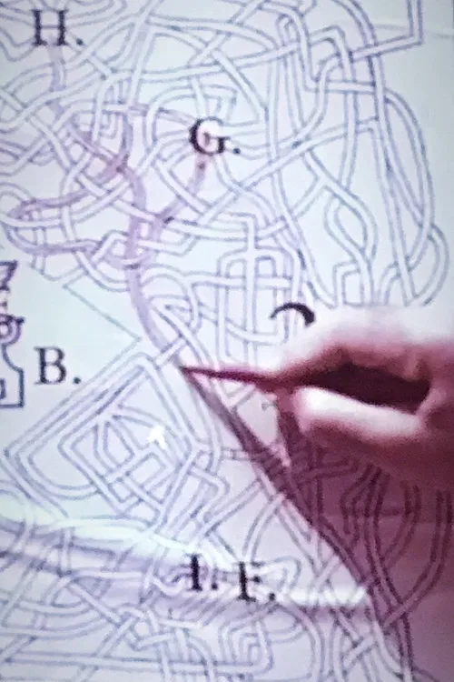 The Pink Biennal poster