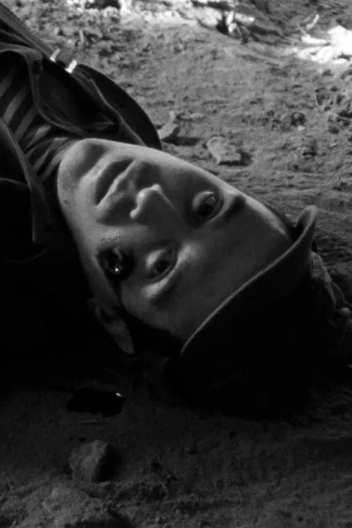 Andrés Moreno Grande profile