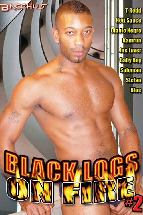 Black Logs on Fire 2 poster
