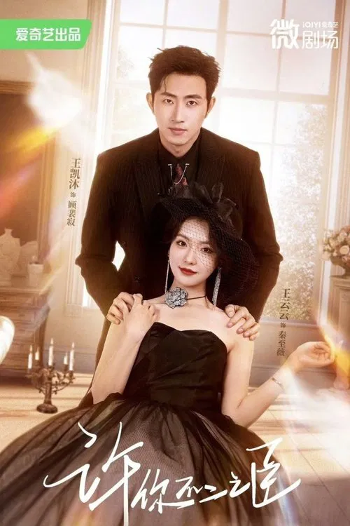 许你不二之臣 poster