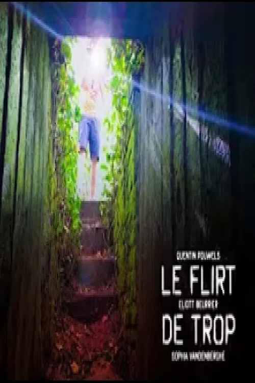 Le flirt de trop poster