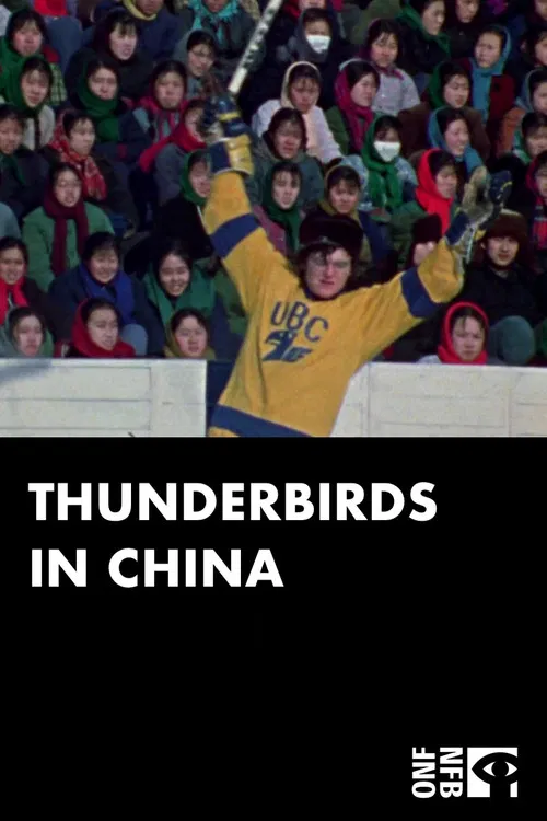 Thunderbirds in China poster