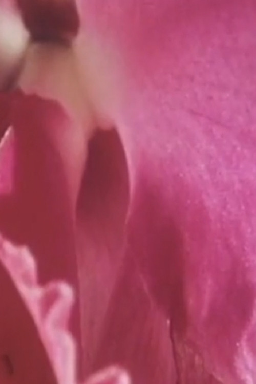 Something Within Me poster