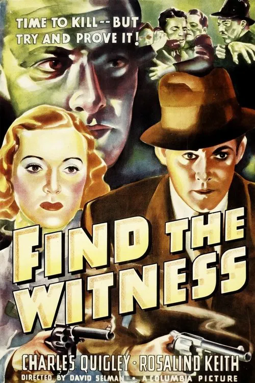 Find the Witness poster