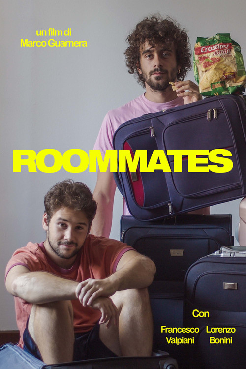 Roommates poster