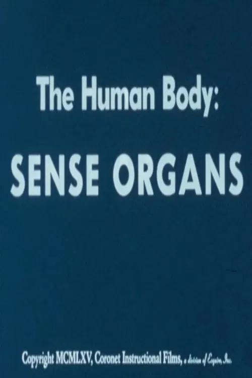 The Human Body: Sense Organs poster
