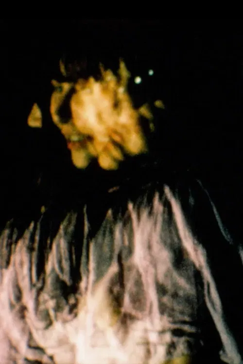 Sensitométrie VII poster