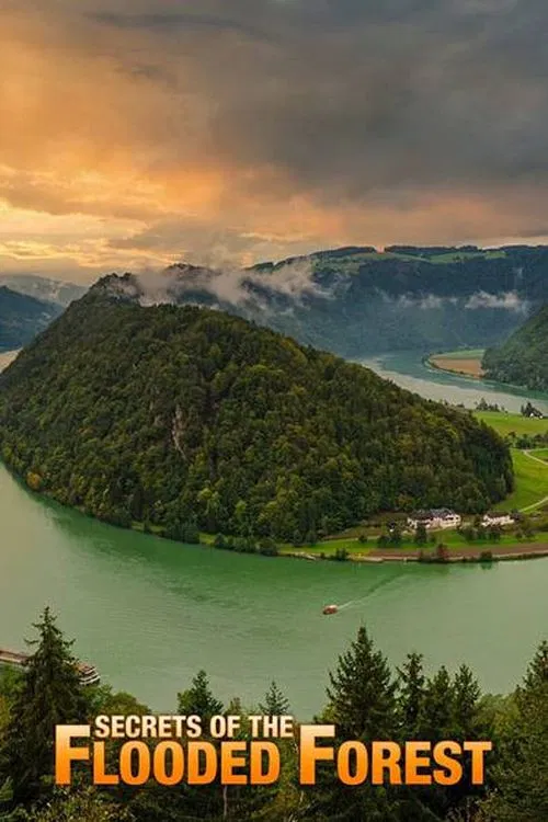 Secrets of the Flooded Forest - Danube National Park poster
