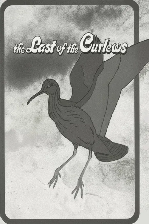 The Last of the Curlews poster