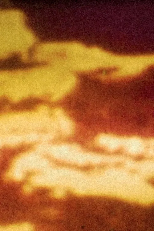 A desalambrar poster