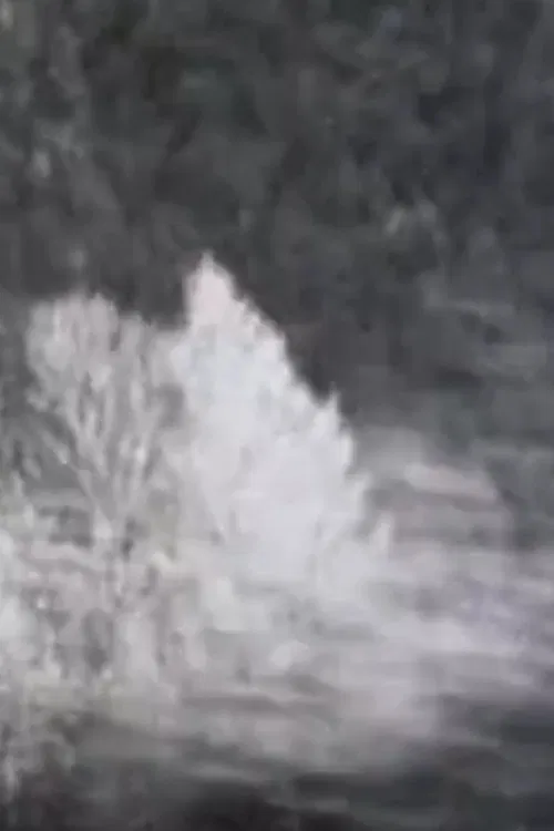 Chronographies poster