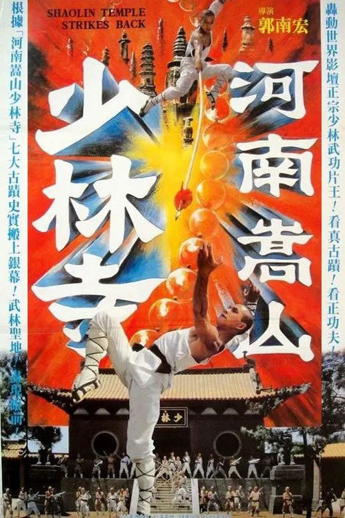 Shaolin Temple Strikes Back poster