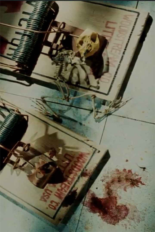 Frog Skeleton poster