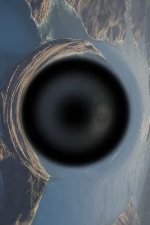 What Would Evolution Do? poster