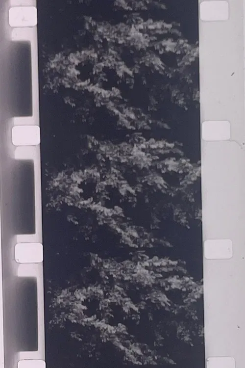 Plotting the Grey Scale: 2 or 3 Quick Traverses poster