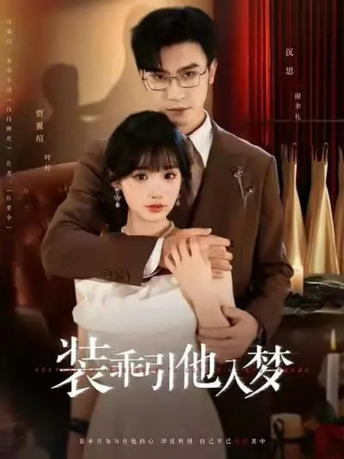 装乖引他入梦 poster