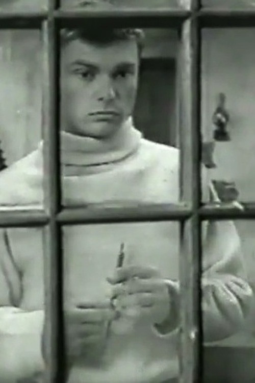 The Death of a Provincial poster