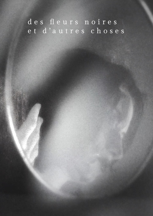 Des fleurs noires et d'autres choses poster
