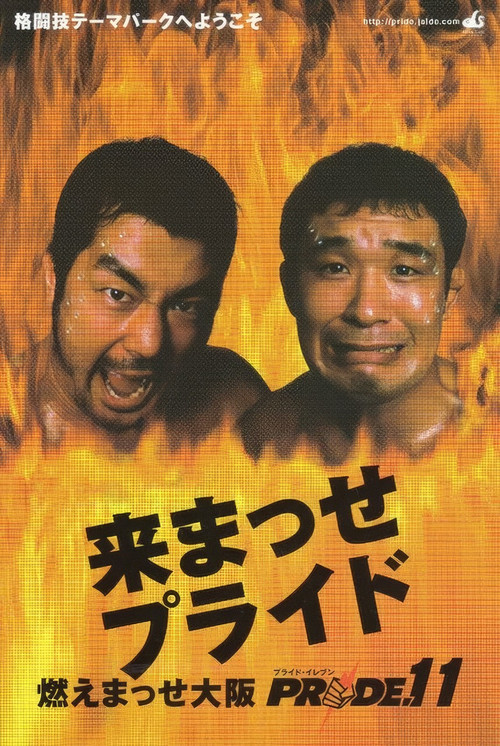 PRIDE 11 poster