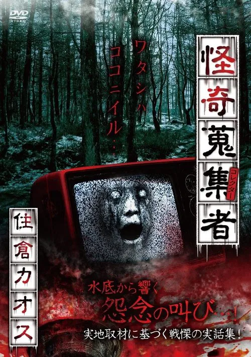 Mysterious Collector Kaosu Sumikura poster