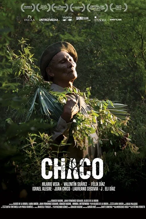 Chaco poster