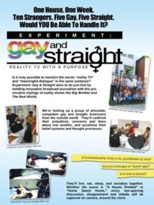 The Experiment: Gay & Straight poster