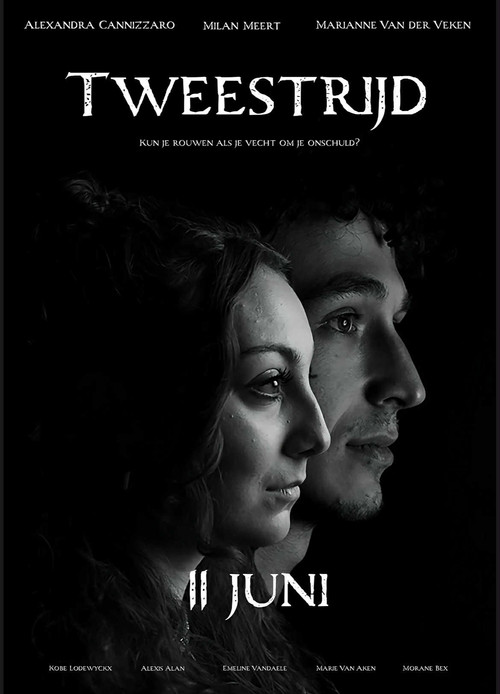 Tweestrijd poster