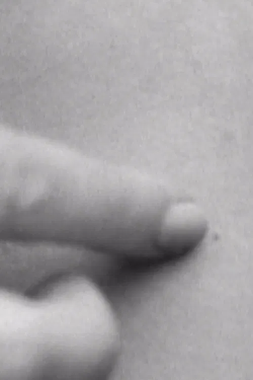 Exits and Entries poster