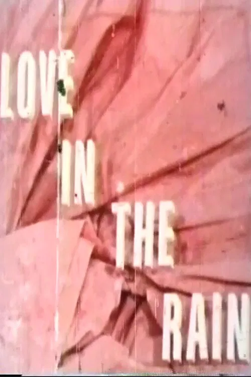 Love in the Rain poster