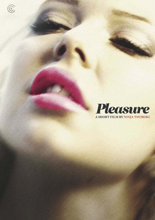 Pleasure poster