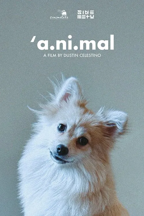 'a.ni.mal poster