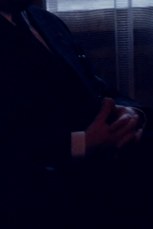 Prosopographia poster