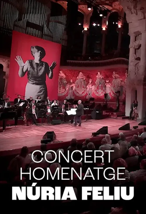 Núria Feliu al Palau poster