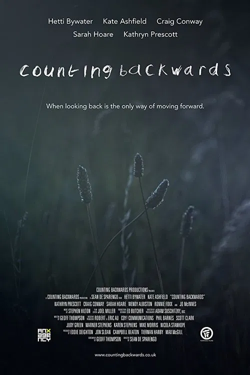 Counting Backwards poster