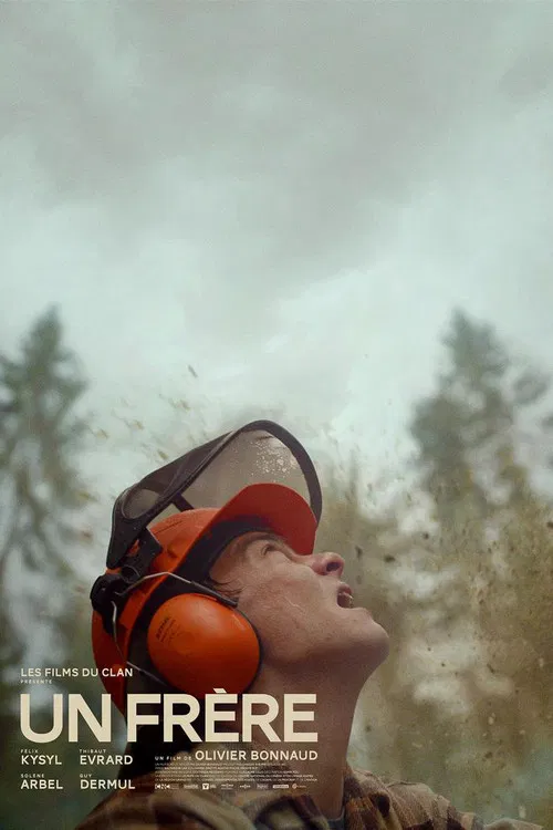 Un frère poster