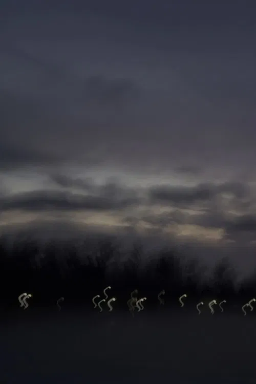 i heard the geese cry poster