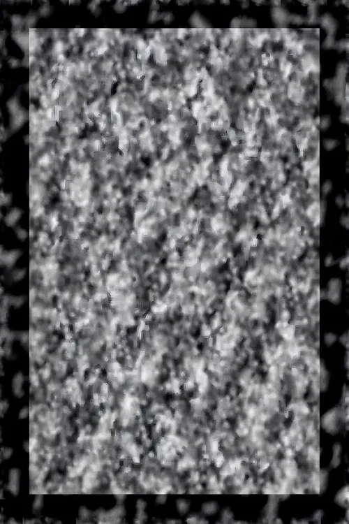 While We Look Down poster